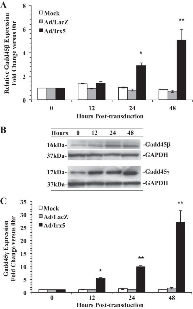 Fig. 8.