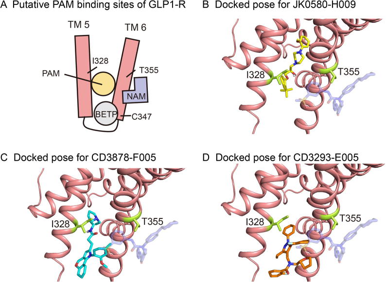 Figure 6