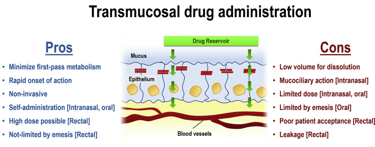 Transmucosal drug administration as an alternative route in palliative ...