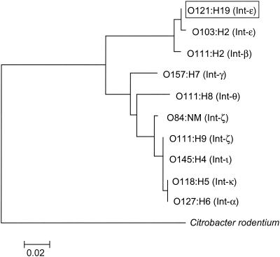 FIG. 2.