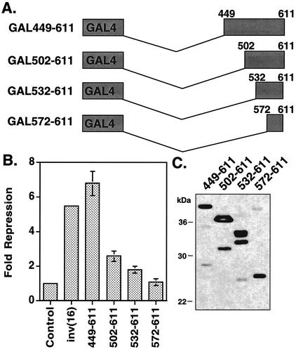 FIG. 2.