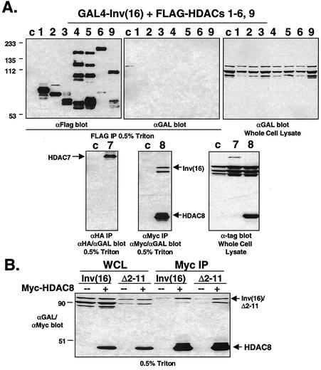 FIG. 5.