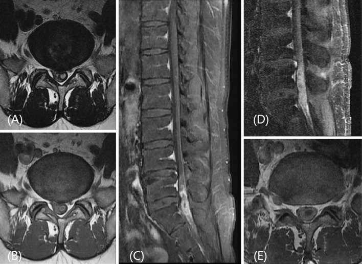 Fig. 1