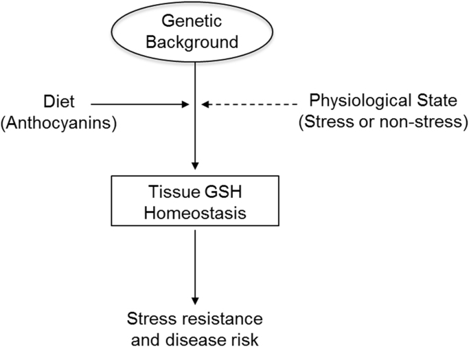 Fig. 8.