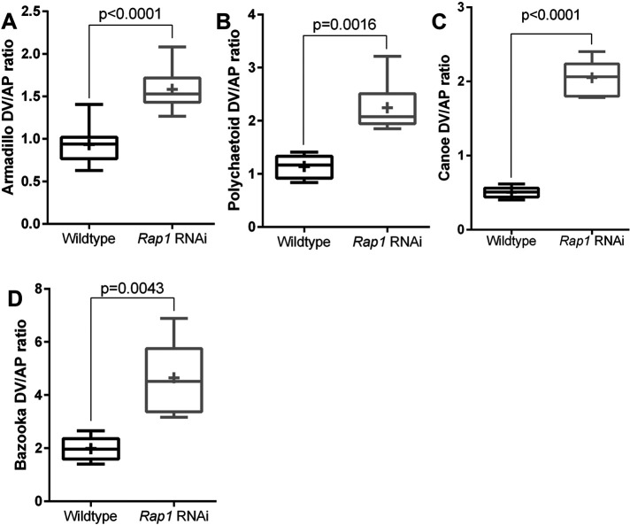 FIGURE 3: