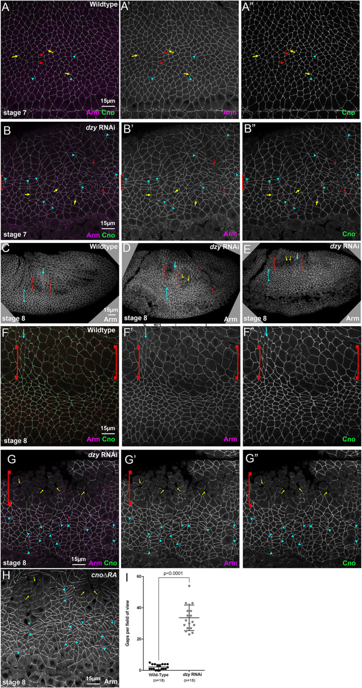 FIGURE 9: