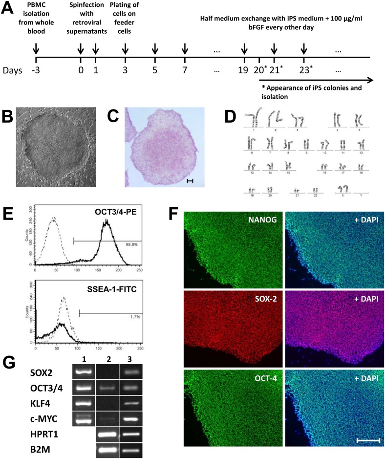 Fig 1