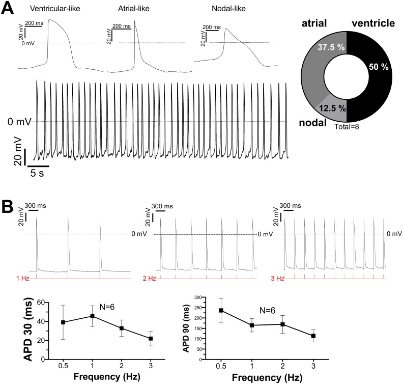 Fig 4