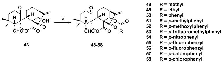 Scheme 2