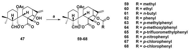 Scheme 3