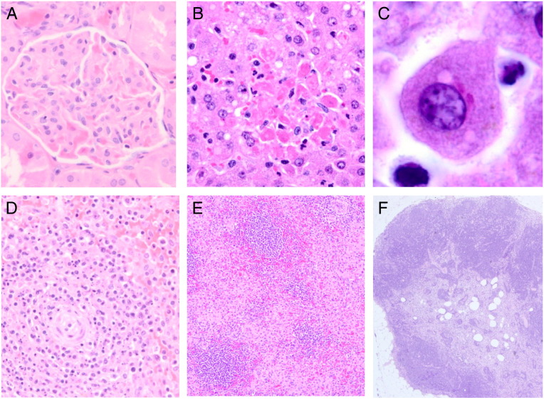 Fig. 3