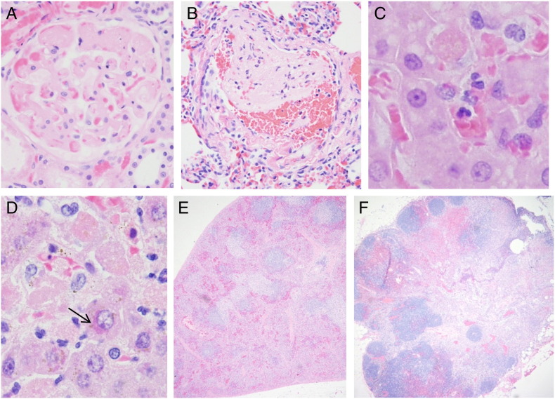 Fig. 2