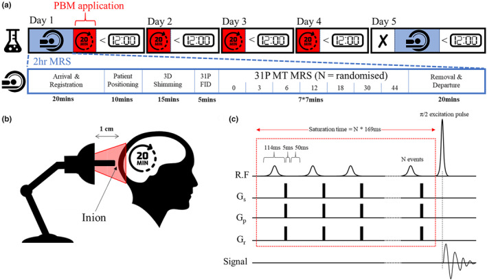 FIGURE 2