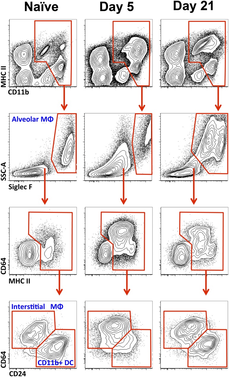 Figure 2.