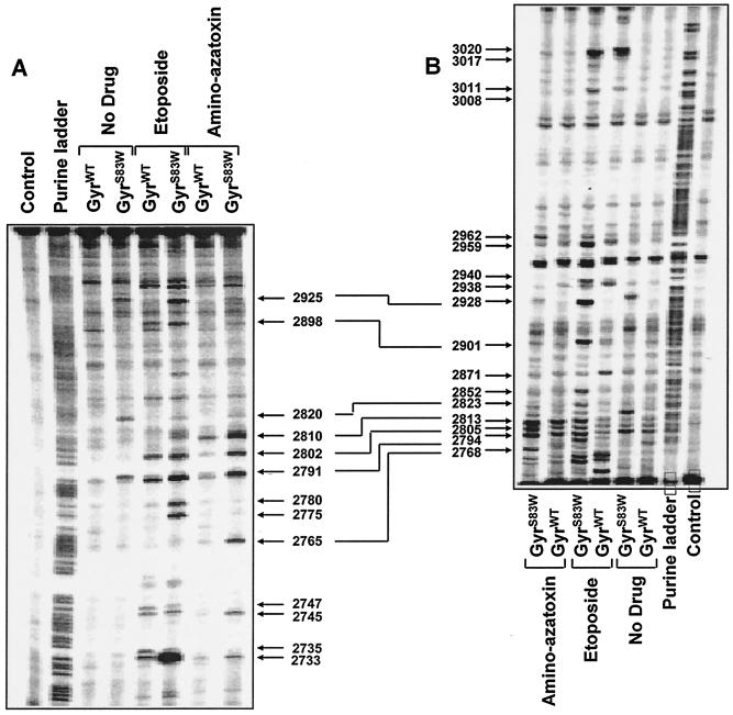 FIG. 4.