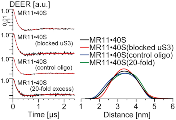 Figure 9.