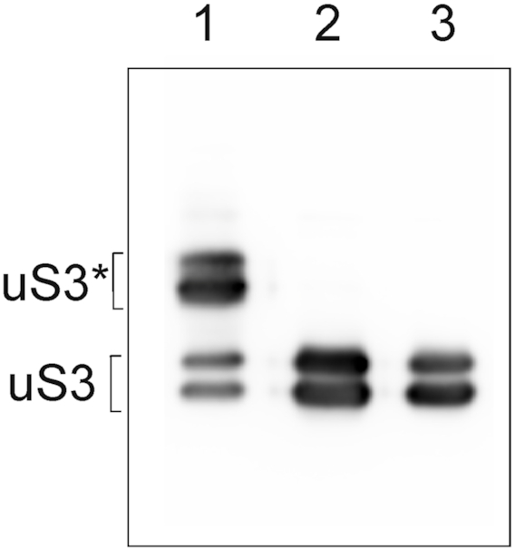 Figure 8.