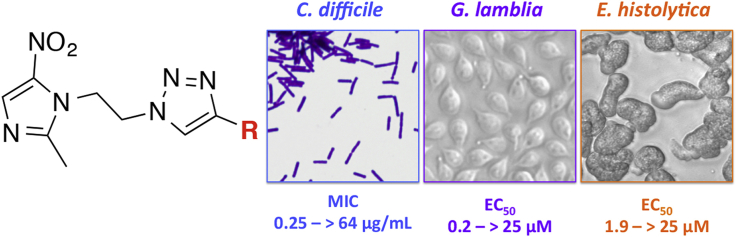 graphic file with name fx1.jpg