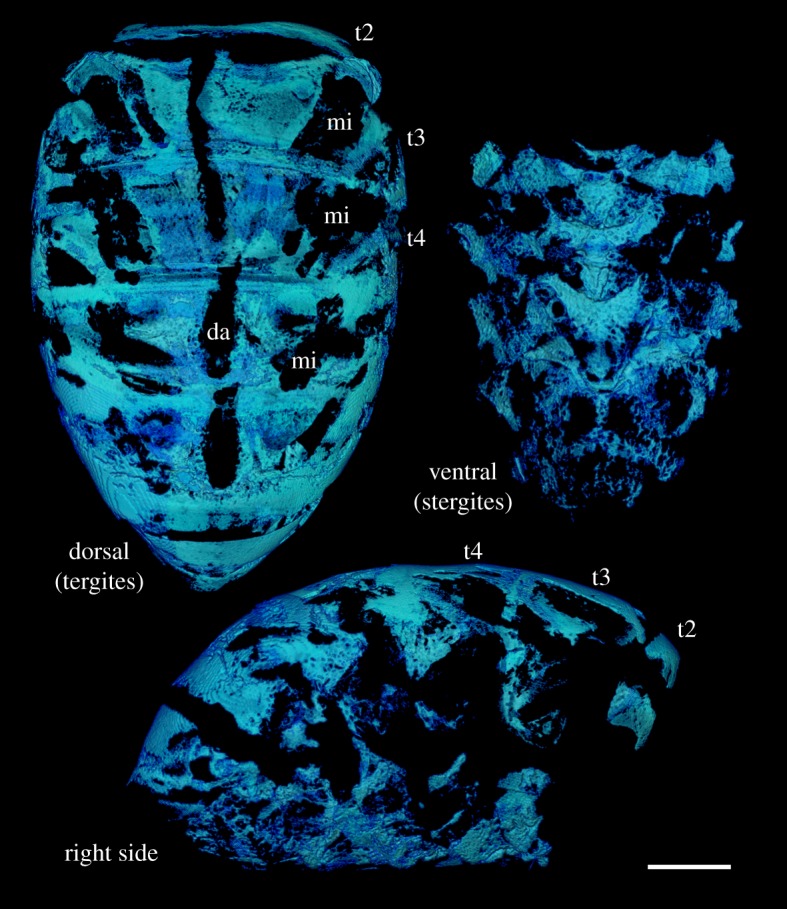 Figure 6.