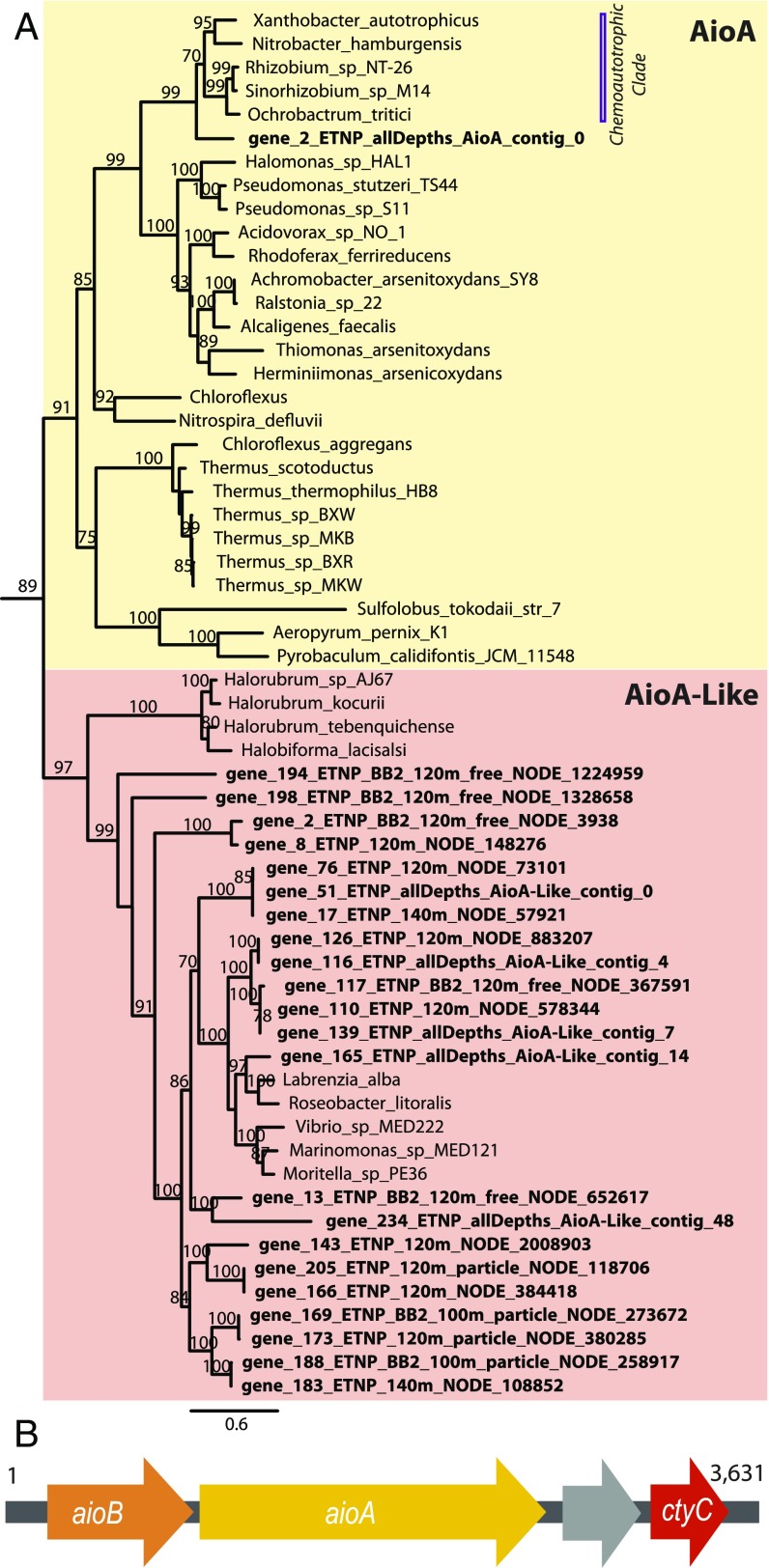 Fig. 3.