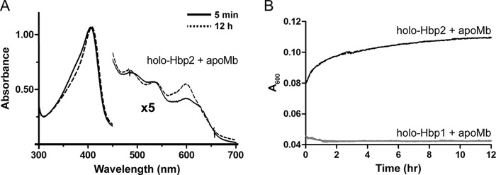 FIGURE 4.