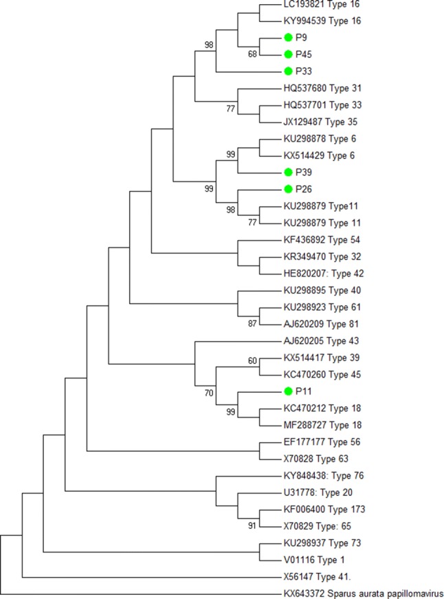 Fig. 3