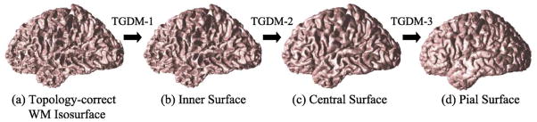 Fig. 7