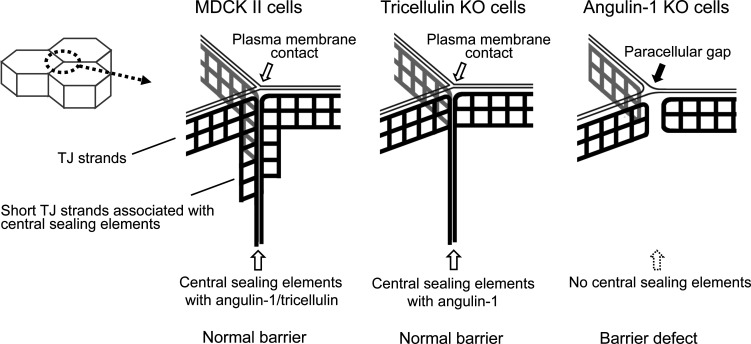 Figure 10.