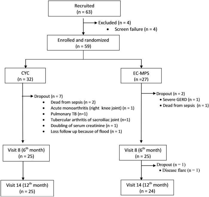 Figure 1