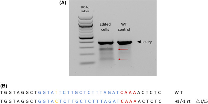 Figure 2