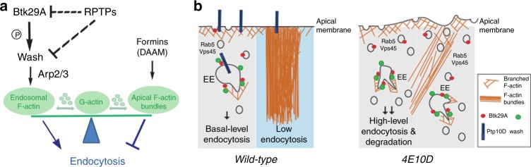 Fig. 9