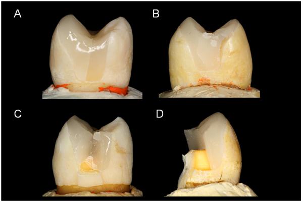 Fig. 5