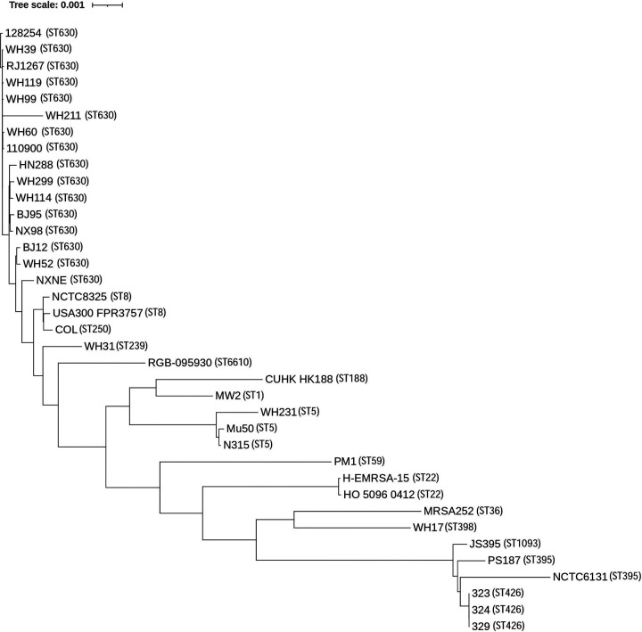 FIG 2