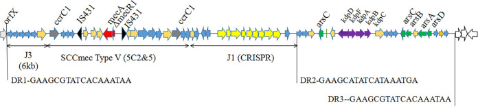 FIG 5