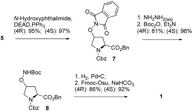 Scheme 2