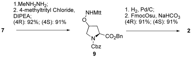 Scheme 3