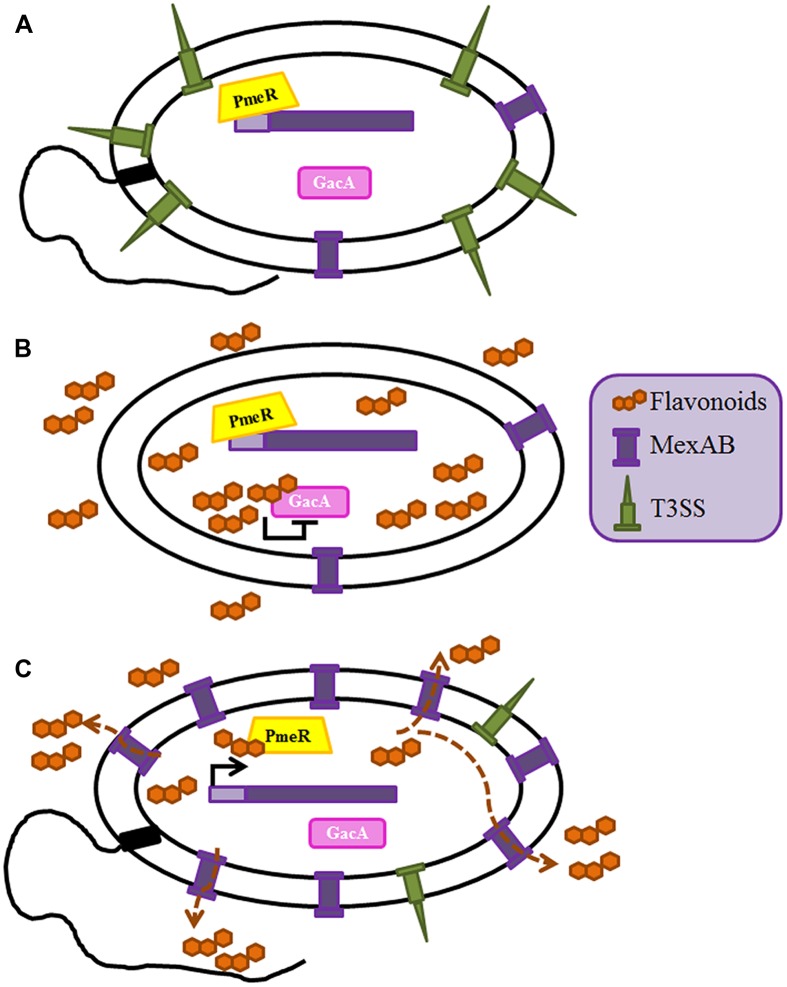 FIGURE 2