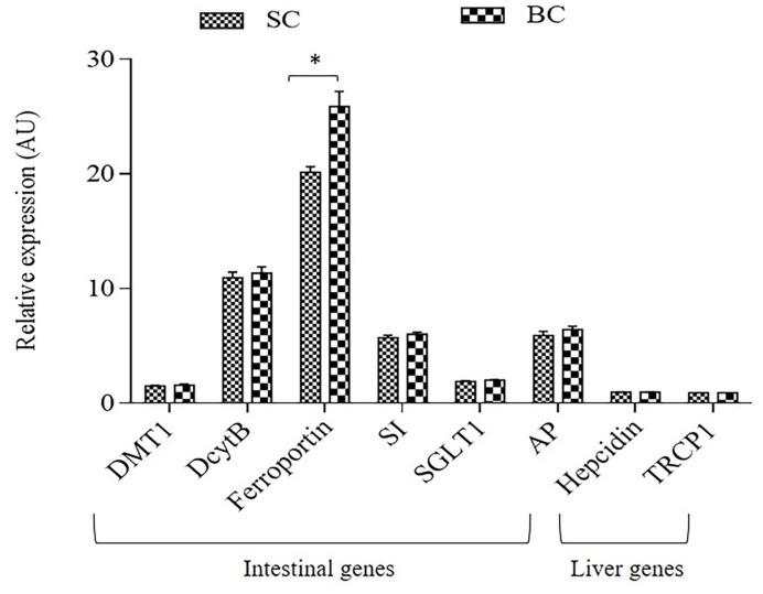 Figure 2