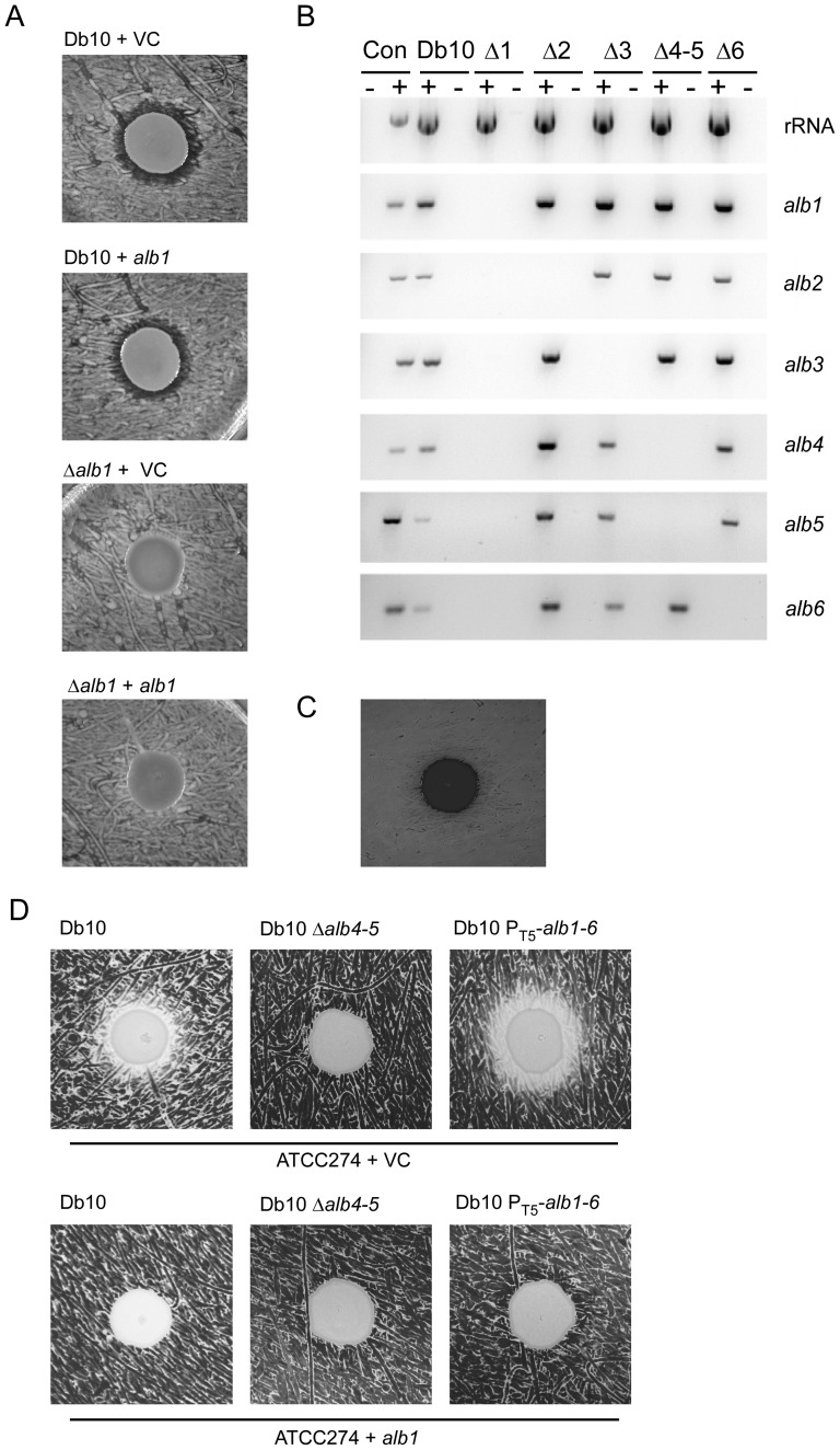 Figure 7