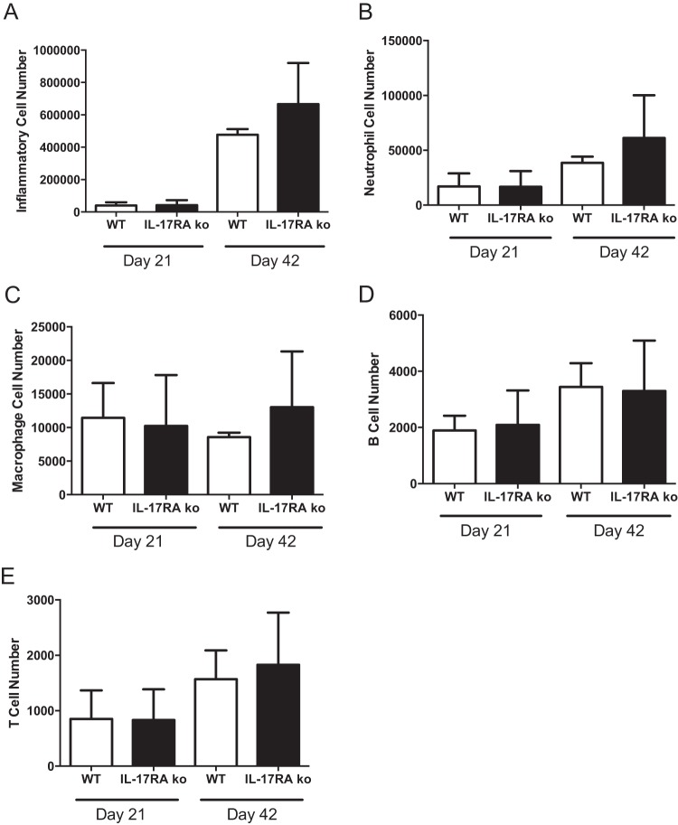 FIG 2