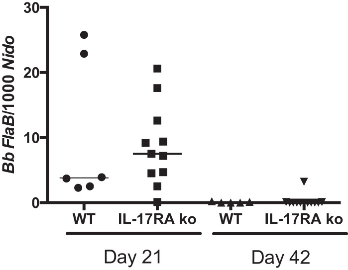 FIG 4