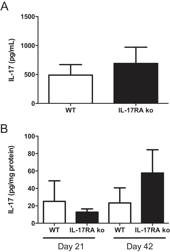 FIG 6