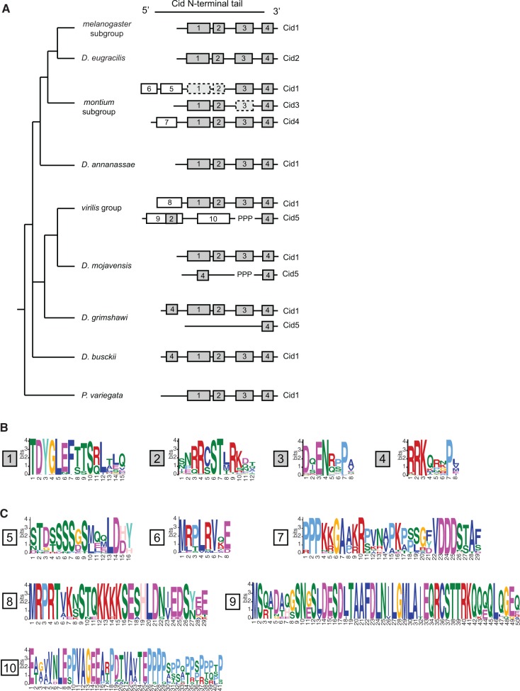 Fig. 6