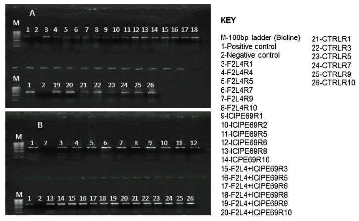 Figure 10