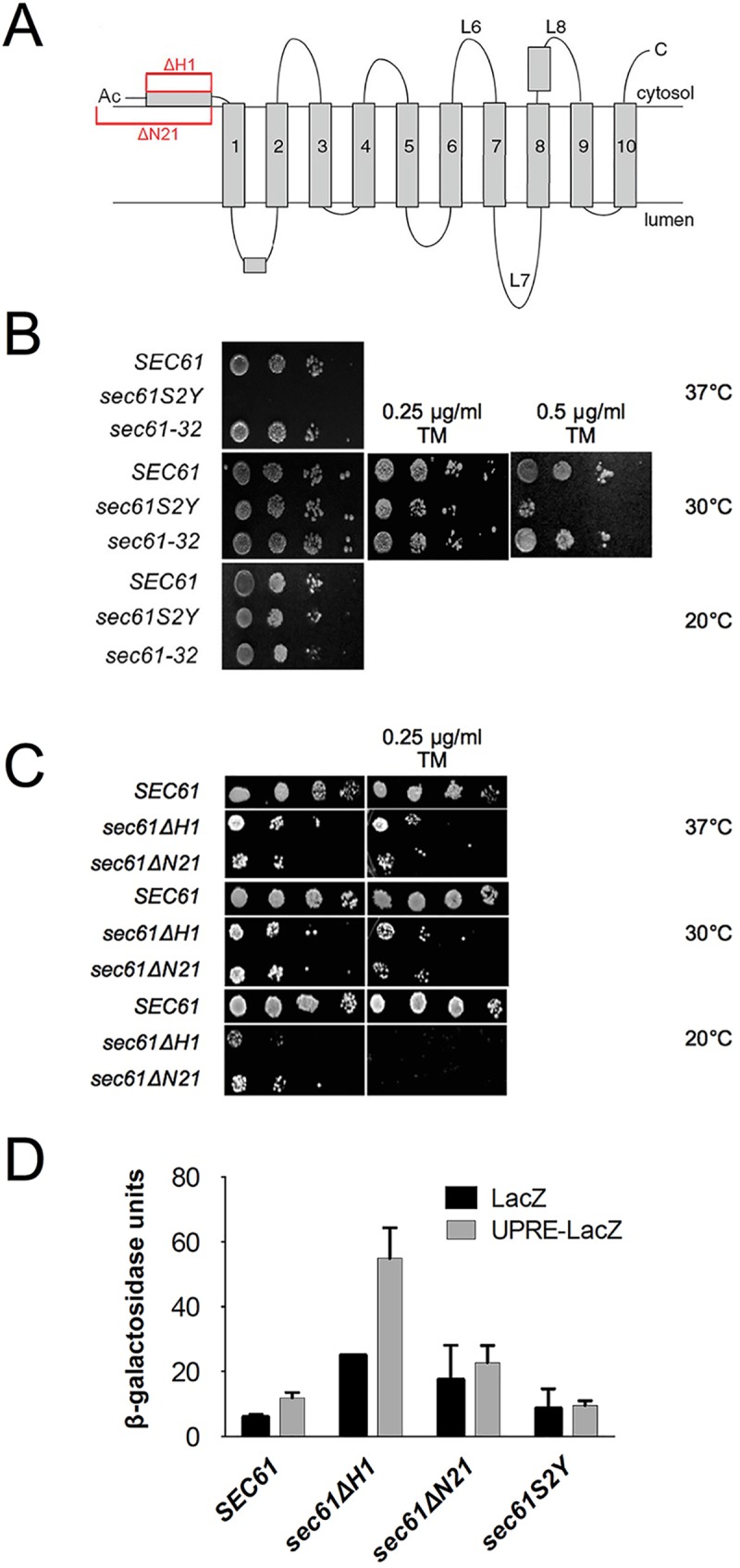 Fig 1