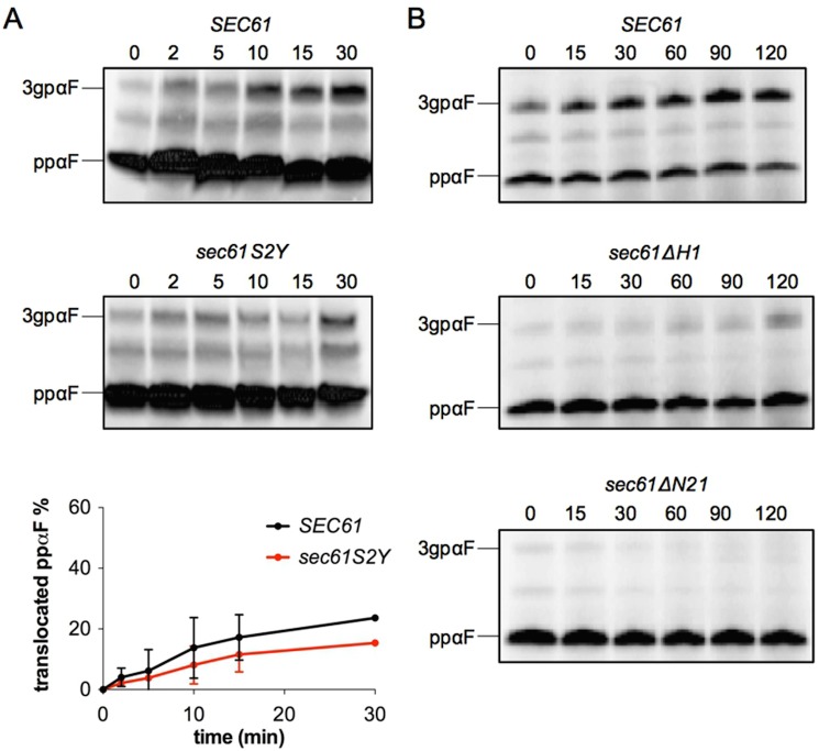 Fig 4