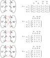 Fig. 16