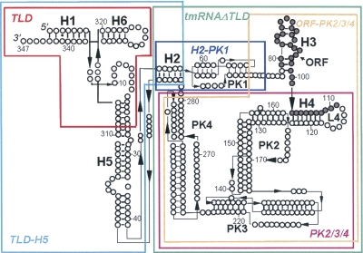 FIGURE 1.