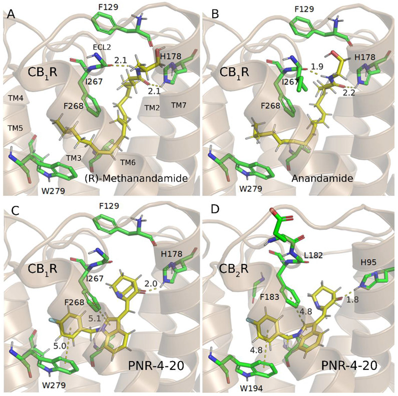 Figure 4.