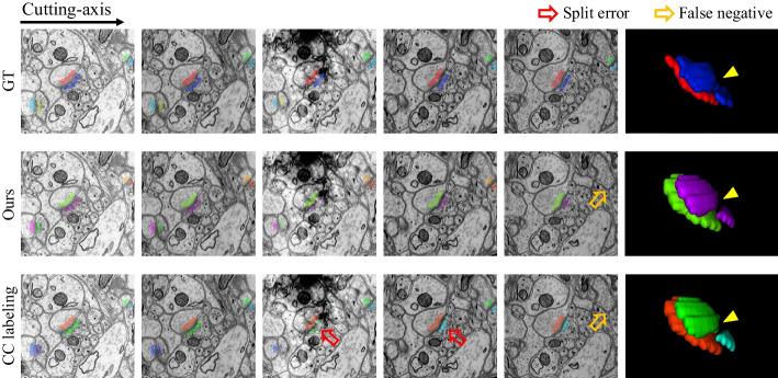 Fig. 12